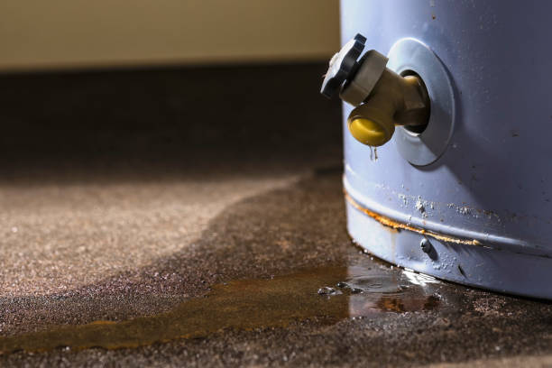 Best Professional water damage repair  in Prces Lakes, IN