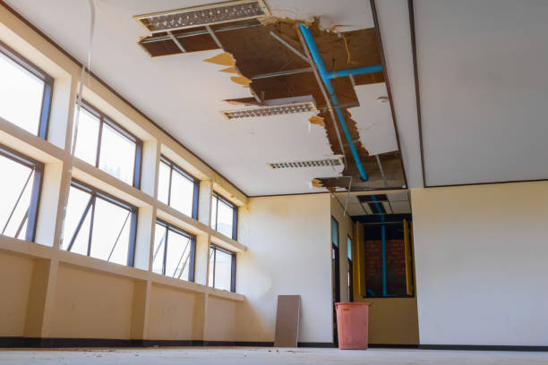 Best Water damage cleanup near me  in Prces Lakes, IN
