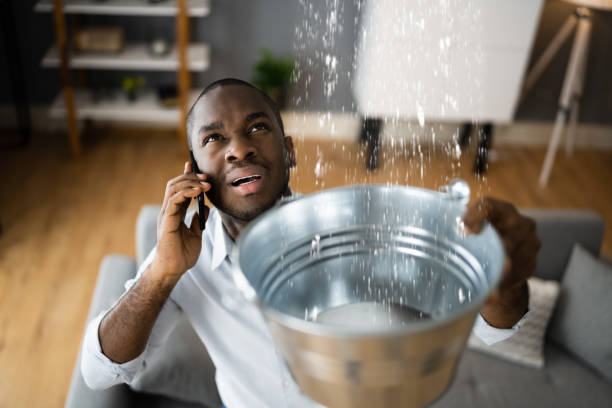 Best Water damage restoration near me  in Prces Lakes, IN
