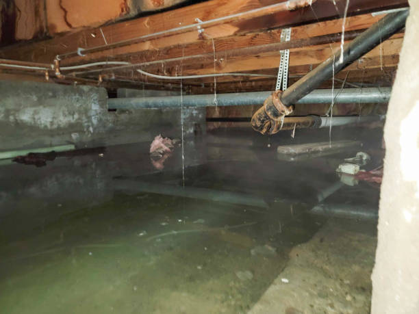 Best 24/7 water damage repair  in Prces Lakes, IN