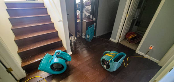 Best 24/7 water damage repair  in Prces Lakes, IN