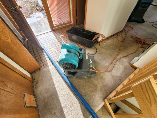 Best Water damage restoration cost  in Prces Lakes, IN