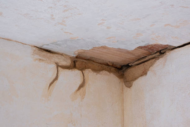 Best Water damage restoration cost  in Prces Lakes, IN
