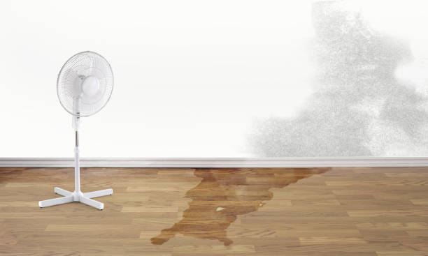 Best Ceiling water damage repair  in Prces Lakes, IN