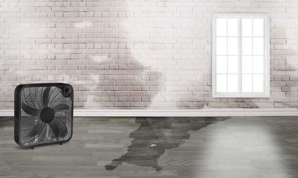 Best 24-hour water damage restoration  in Prces Lakes, IN