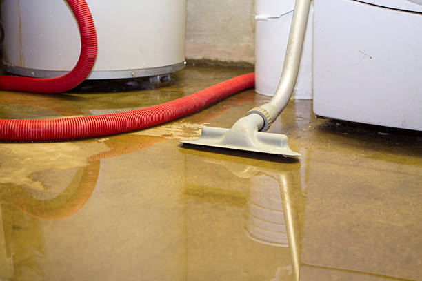 Best Flood restoration services  in Prces Lakes, IN