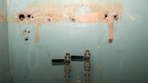 Best Residential water damage restoration  in Prces Lakes, IN