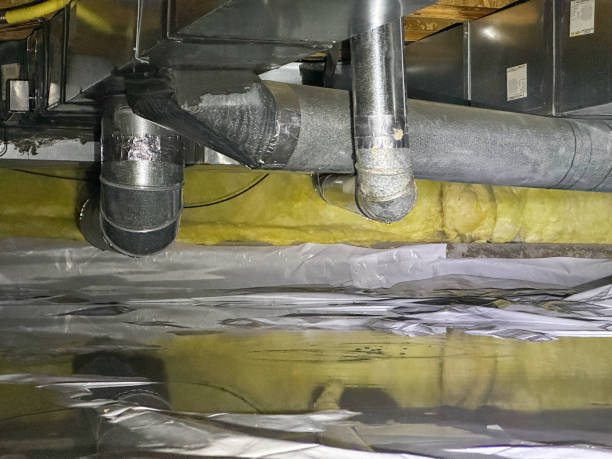 Best Flood damage cleanup  in Prces Lakes, IN