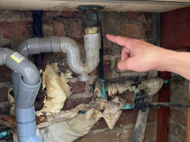 Best Water damage restoration near me  in Prces Lakes, IN