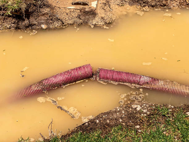  Prces Lakes, IN Water damage restoration Pros