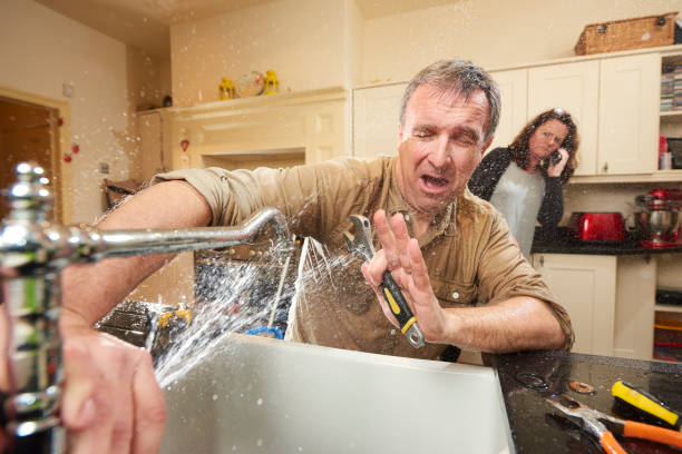 Best Carpet water damage restoration  in Prces Lakes, IN